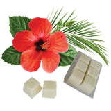LADY BOSS Soy Wax Melt