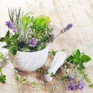 ROSEMARY MINT Scented poop spray, fresh, deodorizer, potpourri